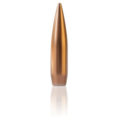 .308 caliber custom precision bullet.
