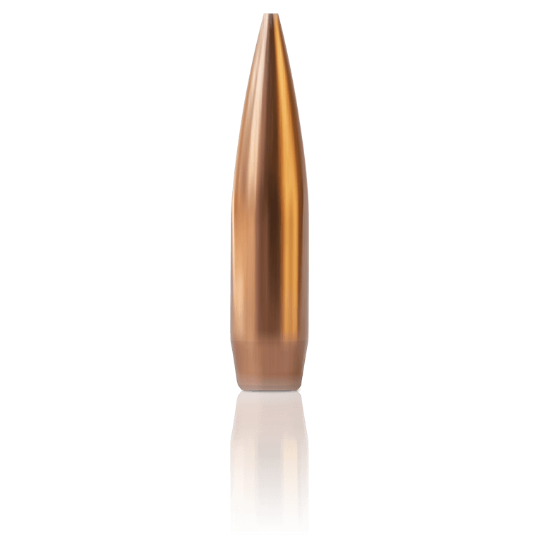 .308 caliber custom precision bullet.
