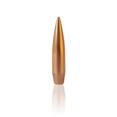 6mm custom precision bullet.