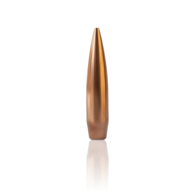 6mm V-Tac custom precision bullet.